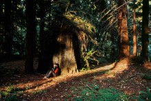 Two campers walk among the huge redwood trees of the 70's boyscout camp where Camp Grounded took place.